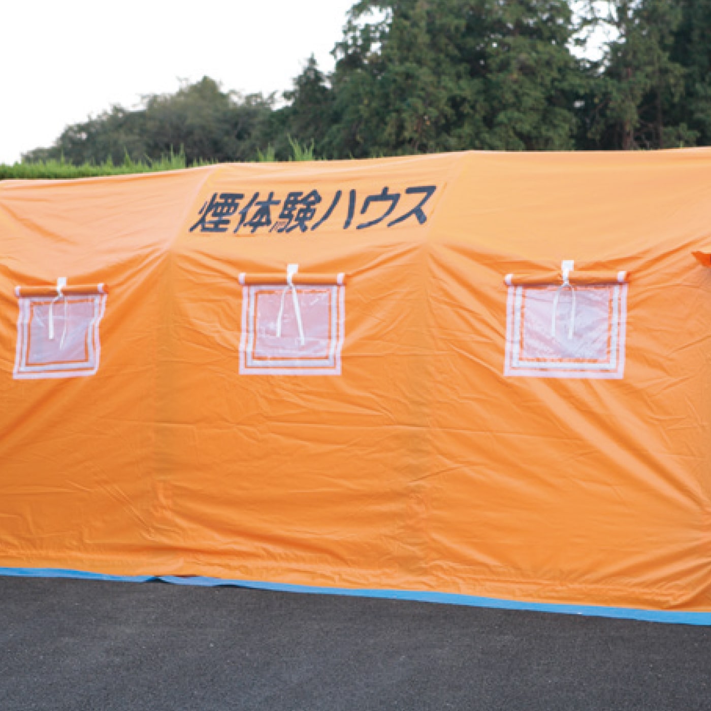 けんじさん専用ページ GCノベルズ3月刊「転生したら剣でした 15」特典情報！ | GCノベルズ